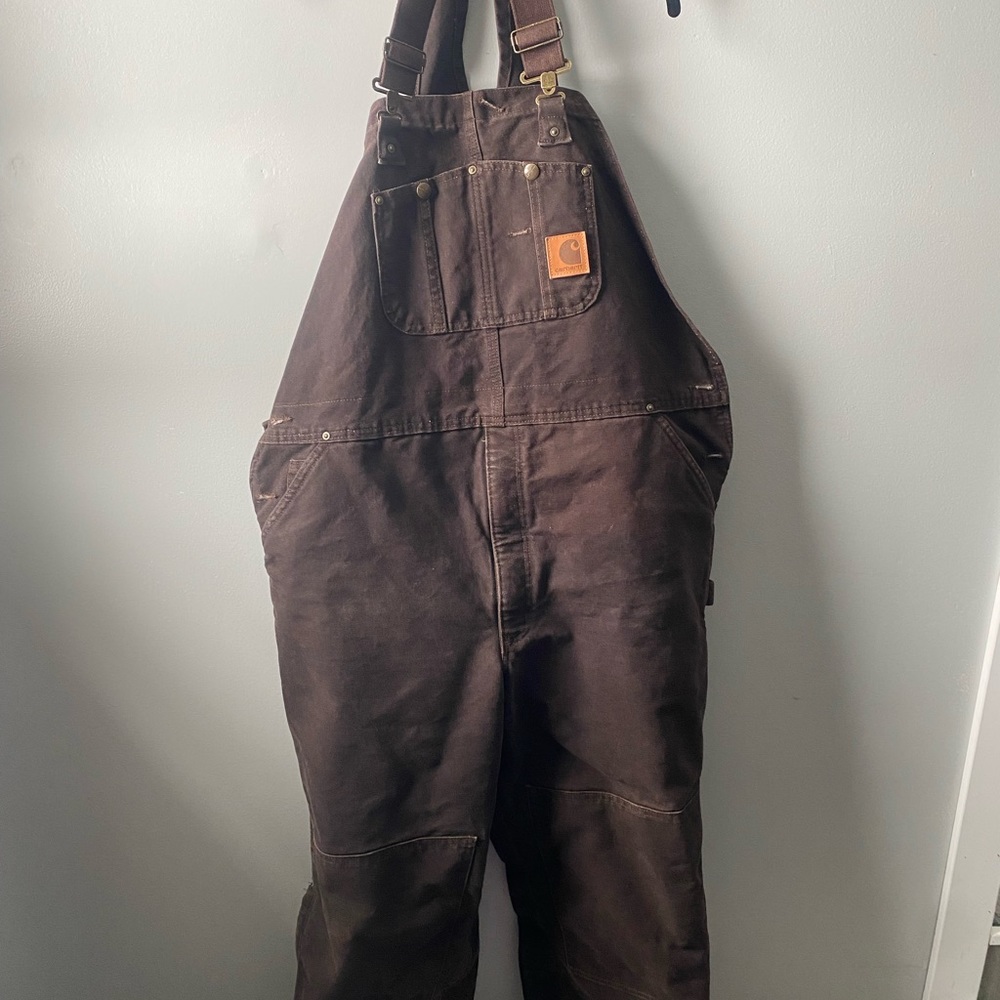 Carhartt Insulated Bibs